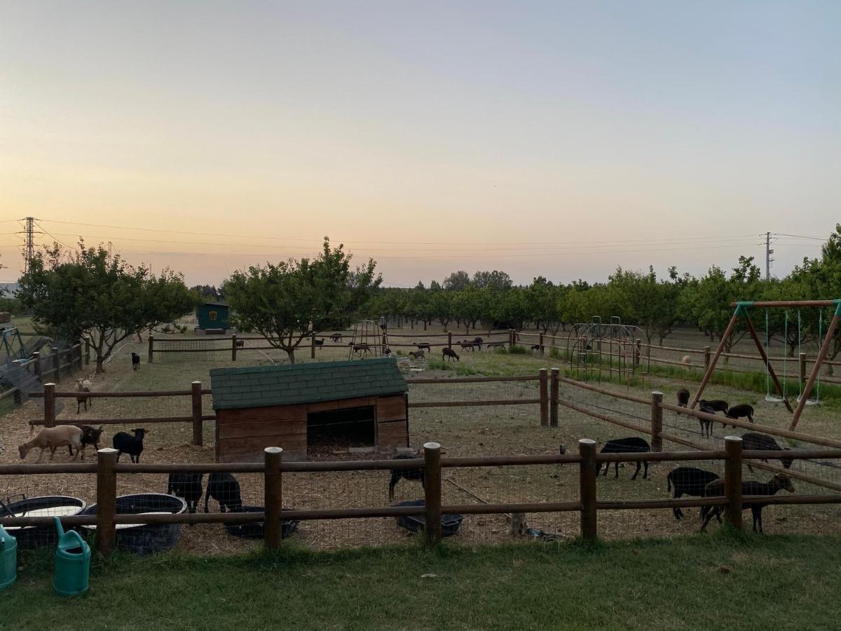 Agriturismo San Michele San Michele  Ngoại thất bức ảnh